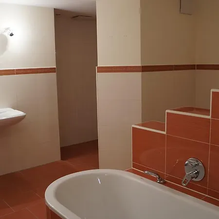 公寓 Starapartments 巴特霍夫加施泰因